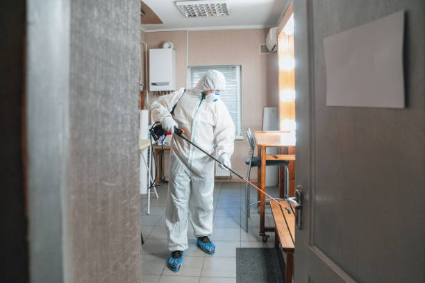  Scott City, MO Mold Removal Pros